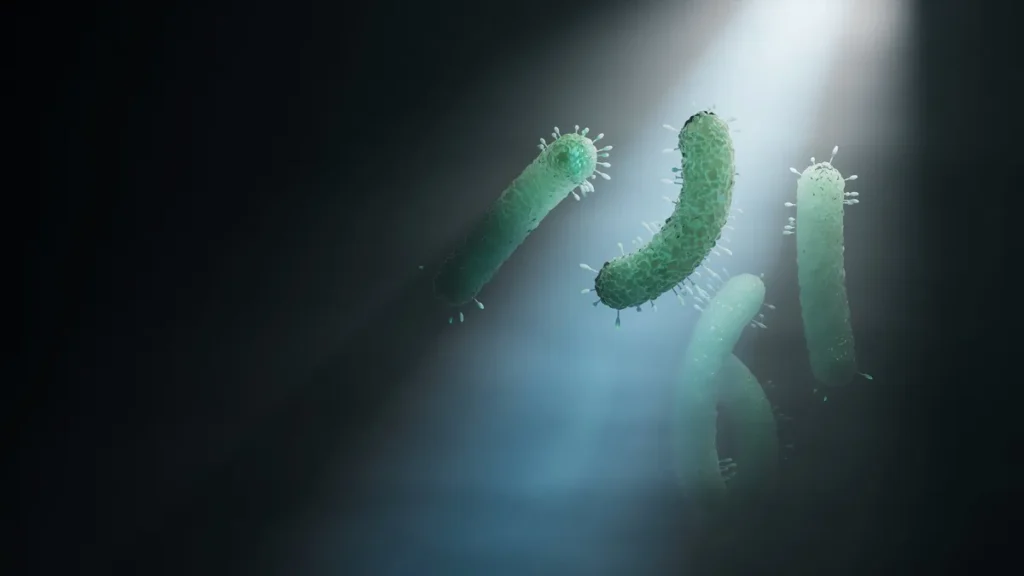 bacterias